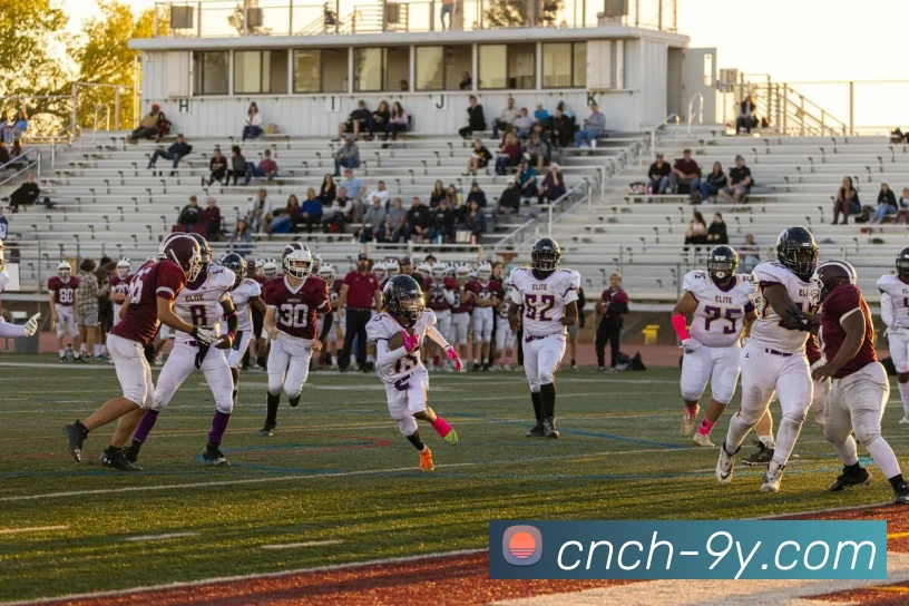 九游官网平台生态图