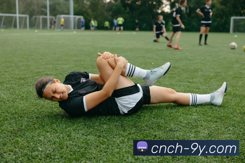 九游官网全站App